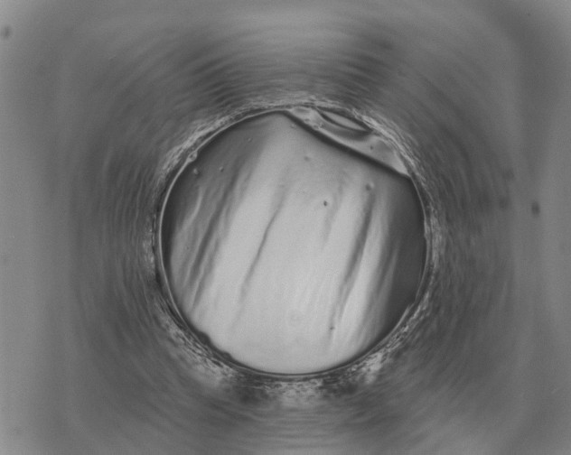 X0000072540345200608041628