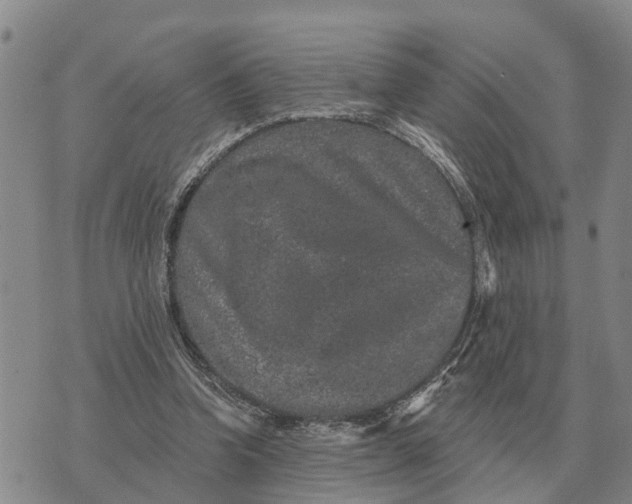 X0000072540346200608041628