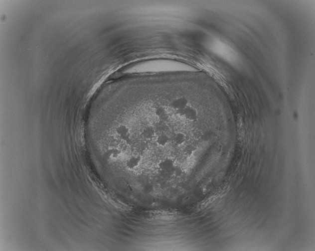 X0000072540347200608041628