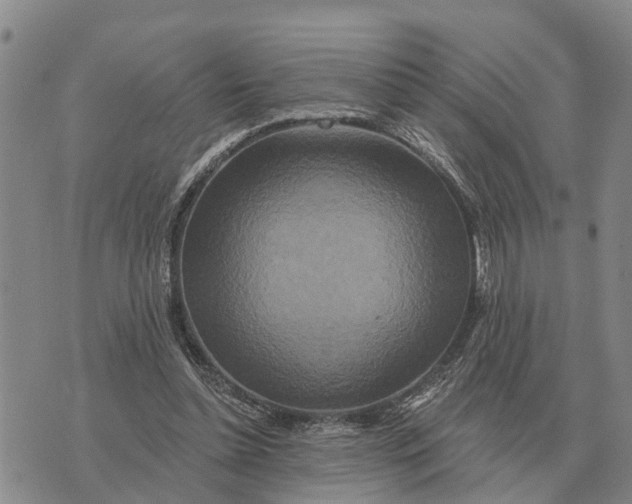 X0000072540348200608041628