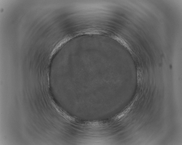 X0000072540349200608041628