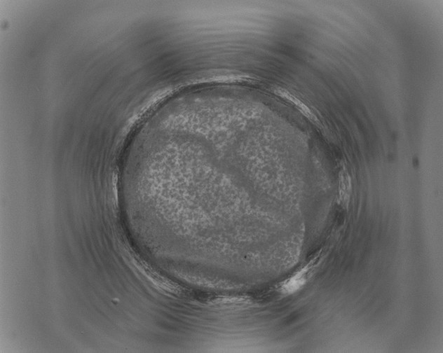 X0000072540350200608041628