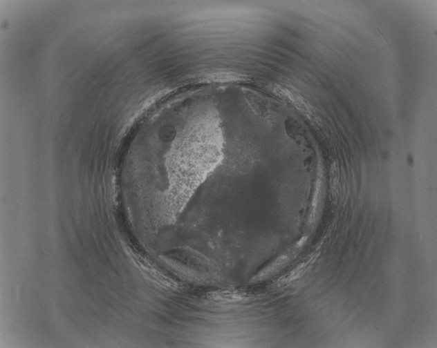 X0000072540351200608041628