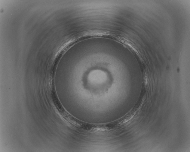 X0000072540352200608041628