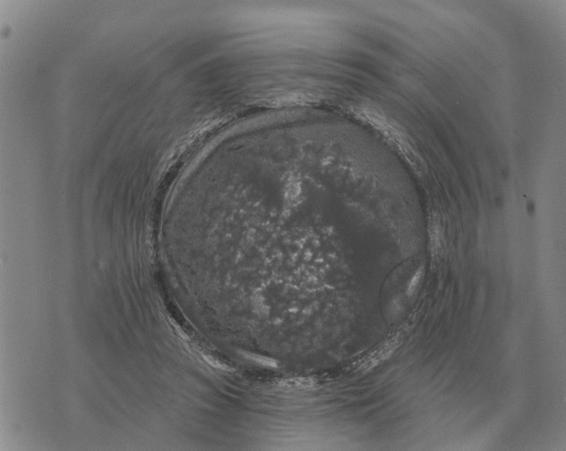 X0000072540353200608041628