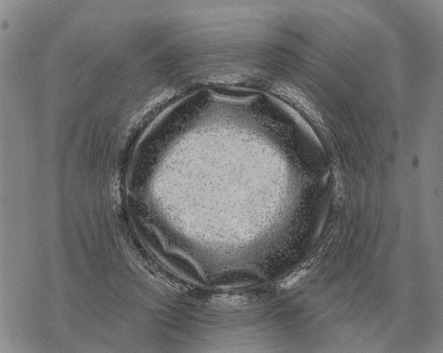 X0000072540354200608041628