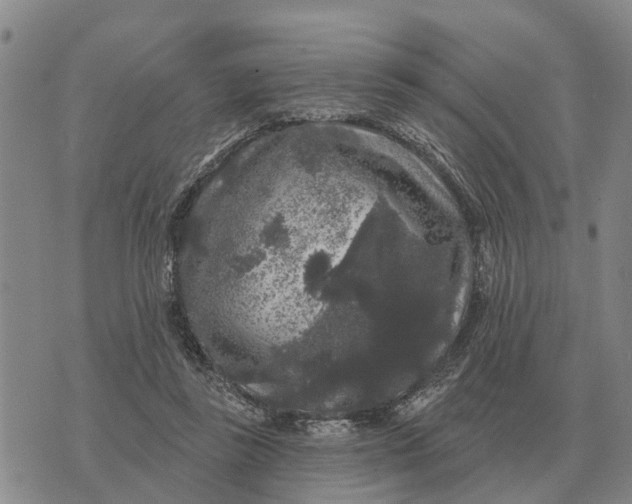 X0000072540355200608041628