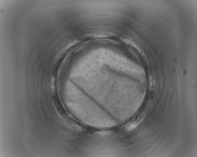 X0000072540356200608041628