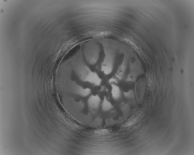 X0000072540357200608041628