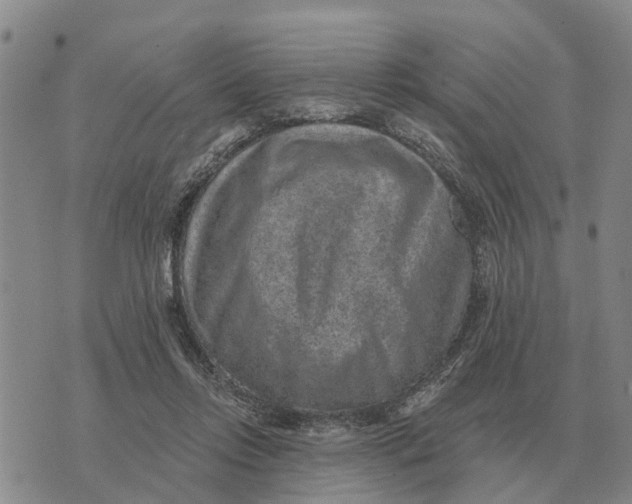 X0000072540358200608041628