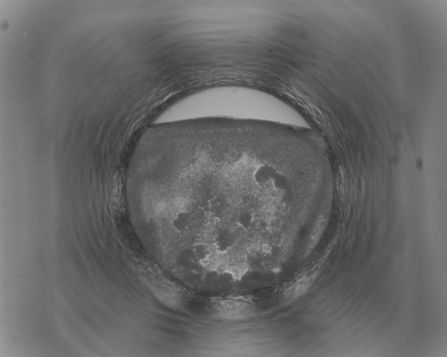 X0000072540359200608041628