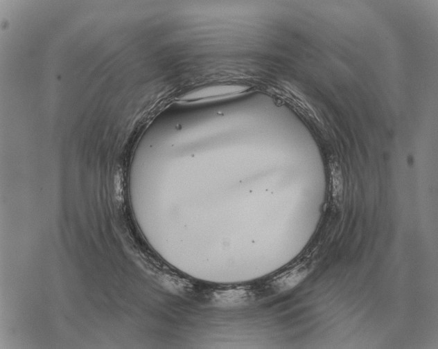 X0000072540362200608041628