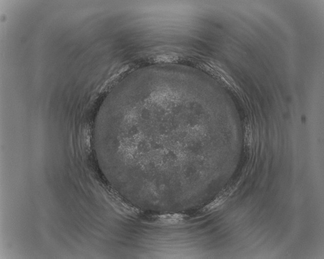 X0000072540363200608041628