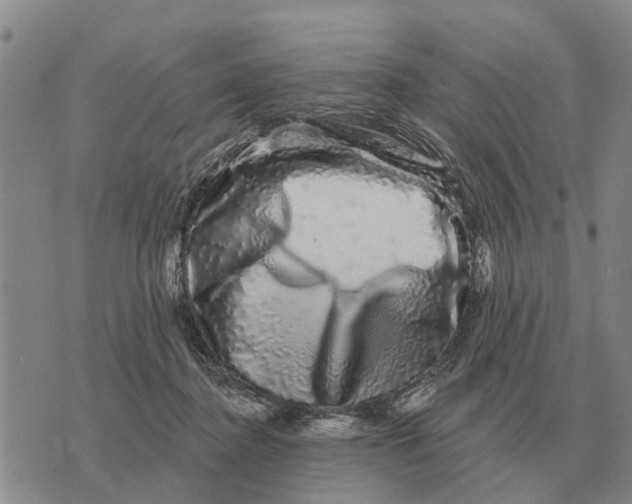 X0000072540364200608041628