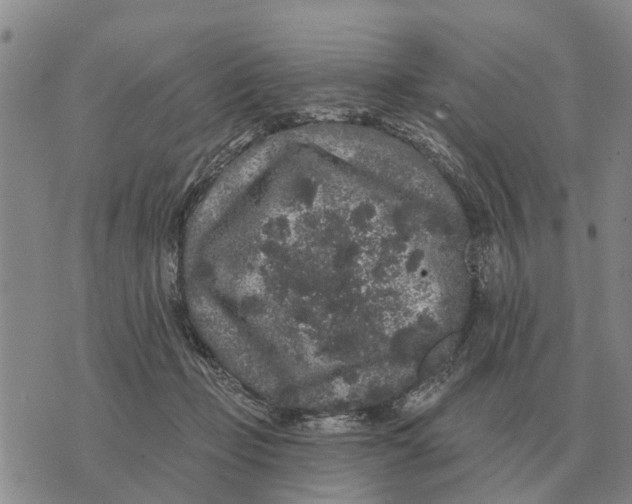 X0000072540365200608041628