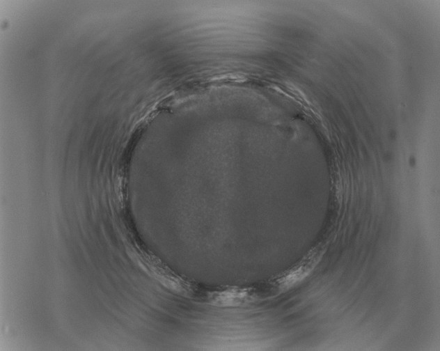 X0000072540366200608041628