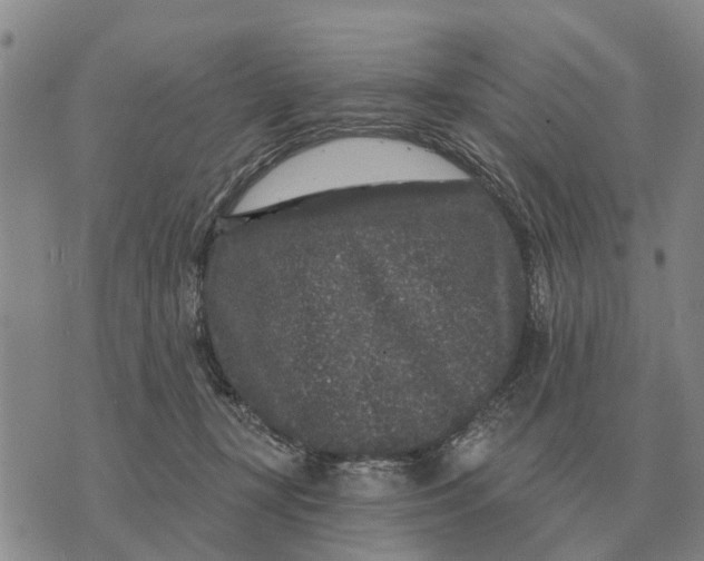 X0000072540367200608041628