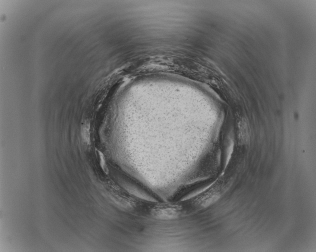 X0000072540368200608041628