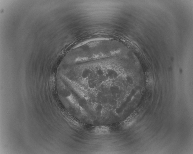 X0000072540369200608041628