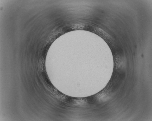 X0000072540370200608041628