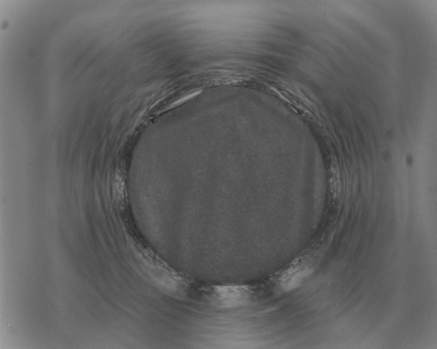 X0000072540371200608041628