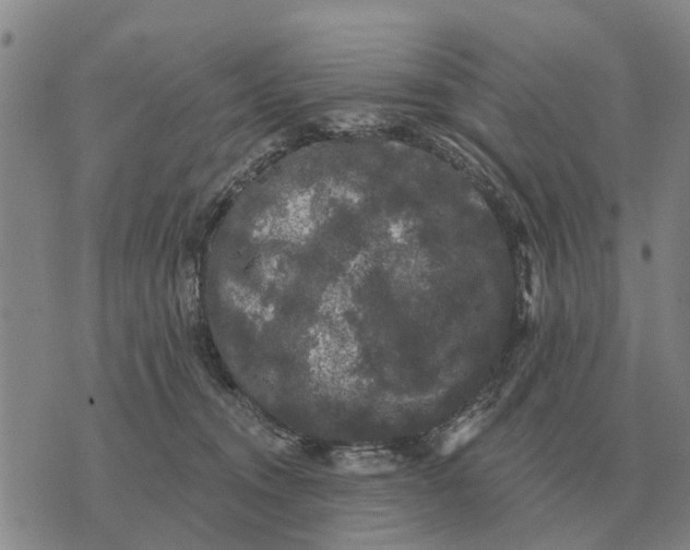 X0000072540372200608041628