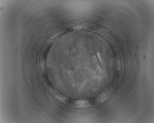 X0000072540375200608041628