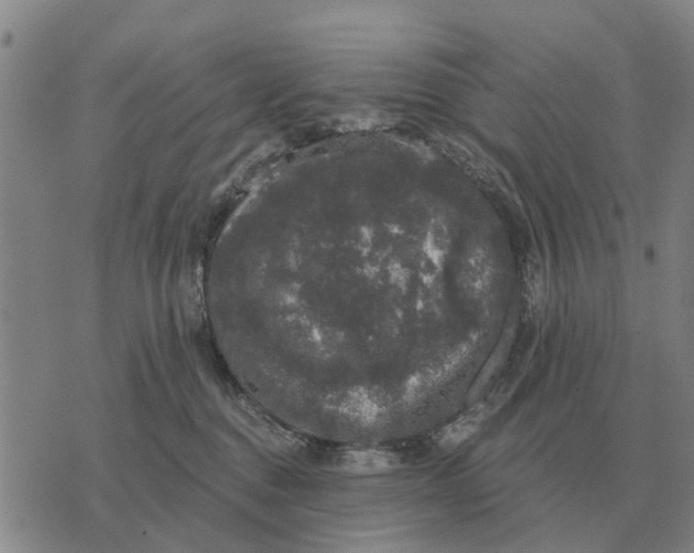 X0000072540376200608041628