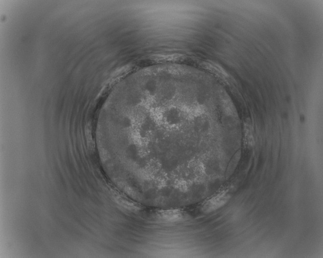 X0000072540377200608041628