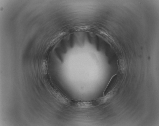 X0000072540378200608041628