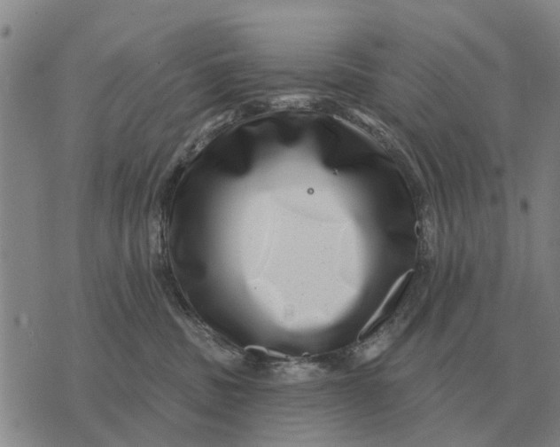 X0000072540379200608041628