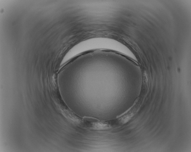 X0000072540380200608041628