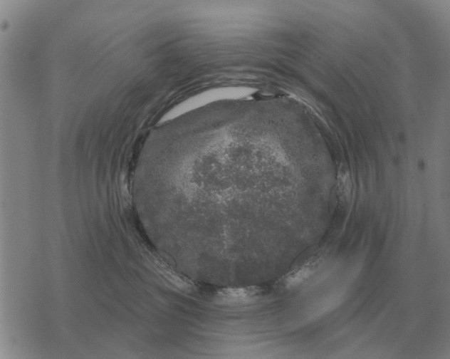 X0000072540381200608041628