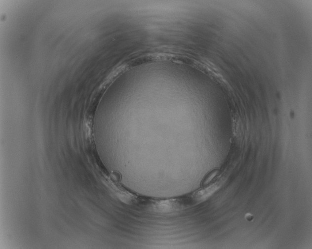 X0000072540382200608041628