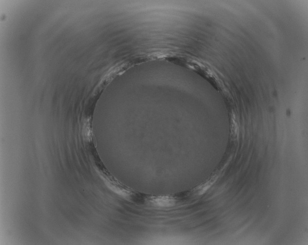 X0000072540383200608041628