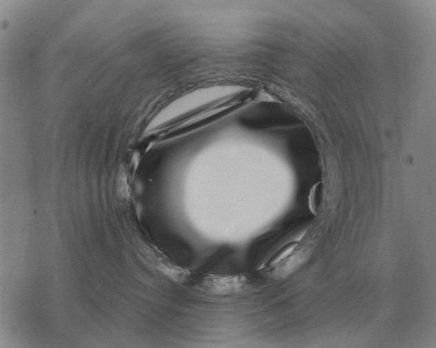 X0000072540384200608041629