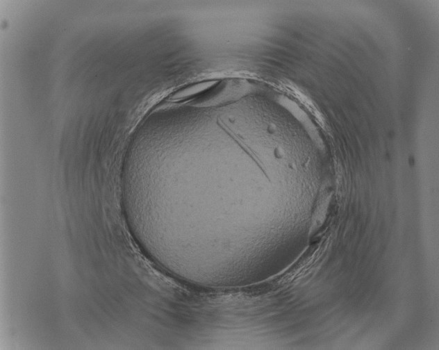 X0000072540385200608041628