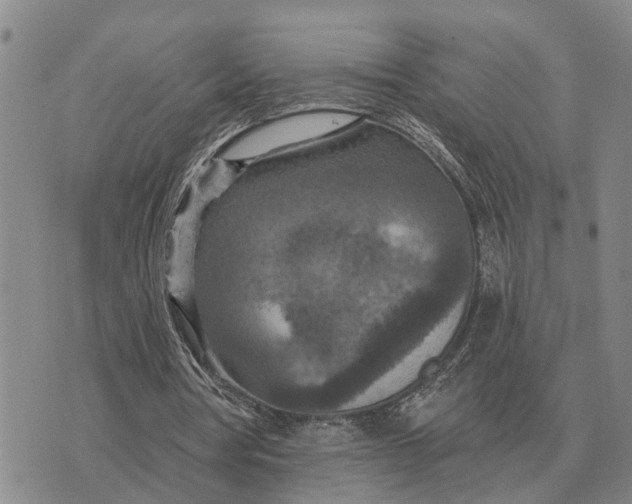 X0000072540386200608041628