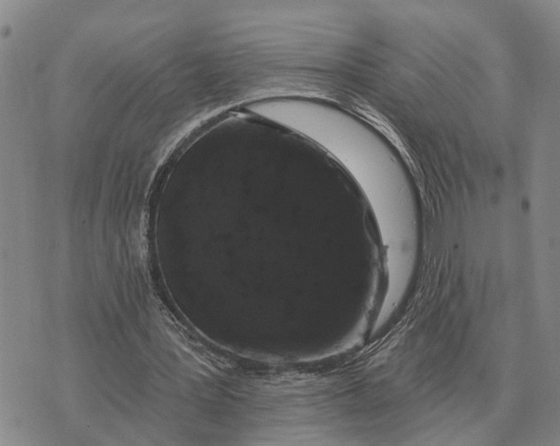 X0000072540387200608041628