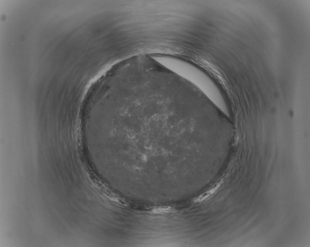 X0000072540388200608041628