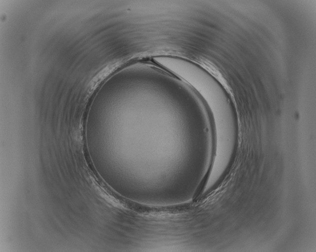 X0000072540389200608041628