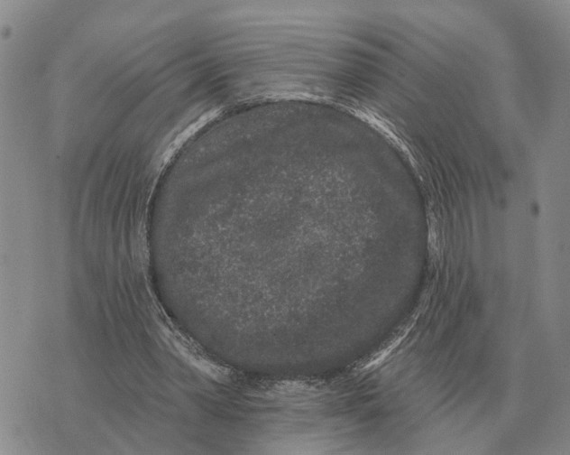 X0000072540390200608041628