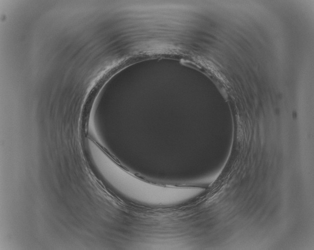 X0000072540391200608041628