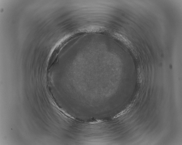 X0000072540392200608041628