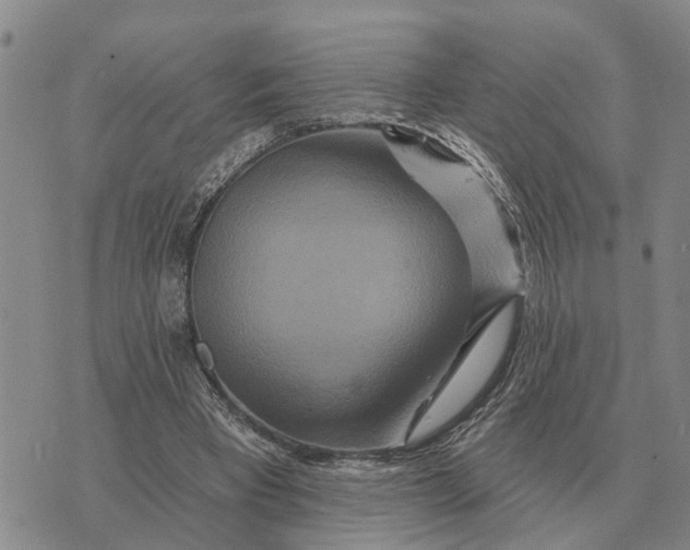 X0000072540393200608041627