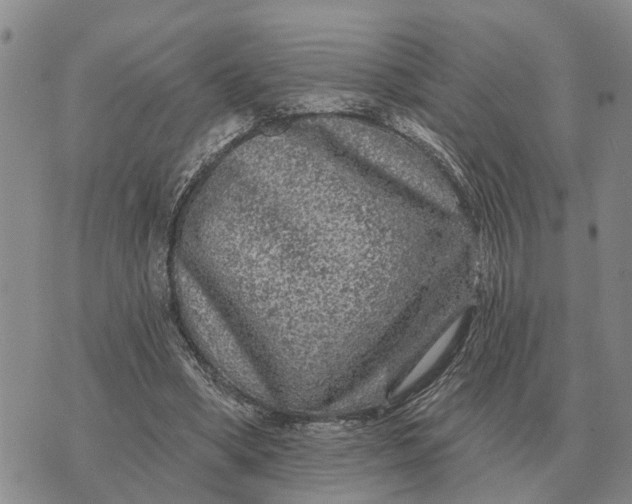 X0000072540394200608041627