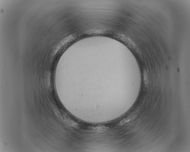 X0000072540396200608041627