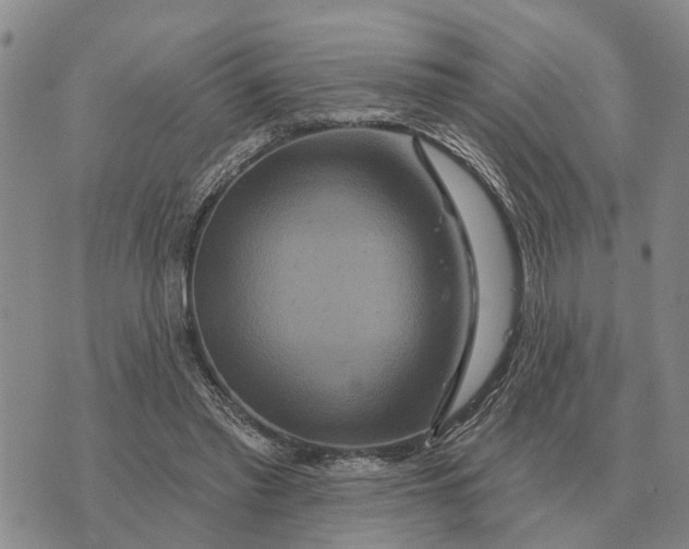 X0000072540397200608041627