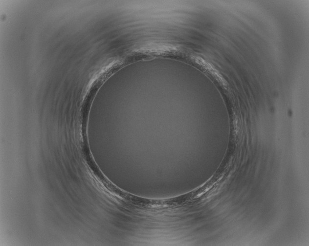 X0000072540399200608041627