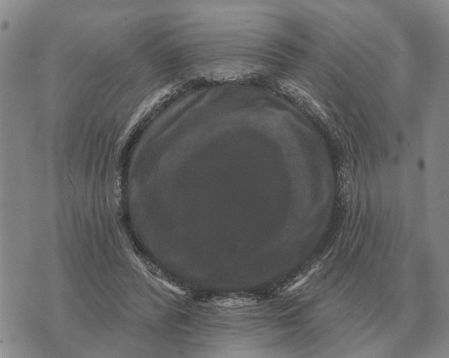 X0000072540400200608041627